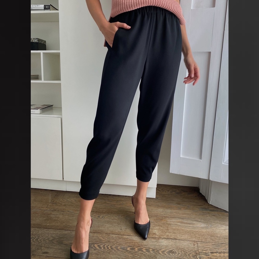Aritzia Babaton Dexter pants - XS